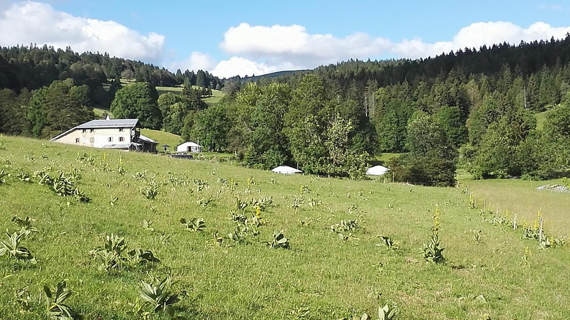 La Petite Echelle Otel Rochejean Dış mekan fotoğraf