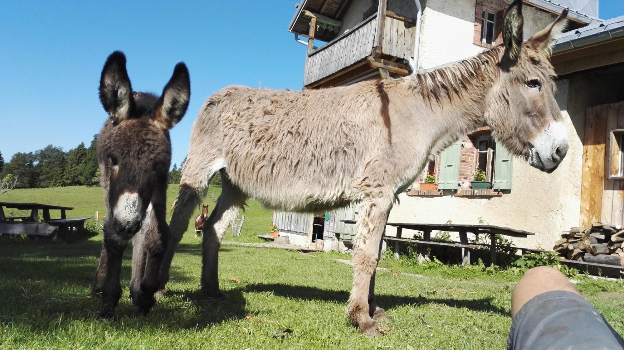 La Petite Echelle Otel Rochejean Dış mekan fotoğraf