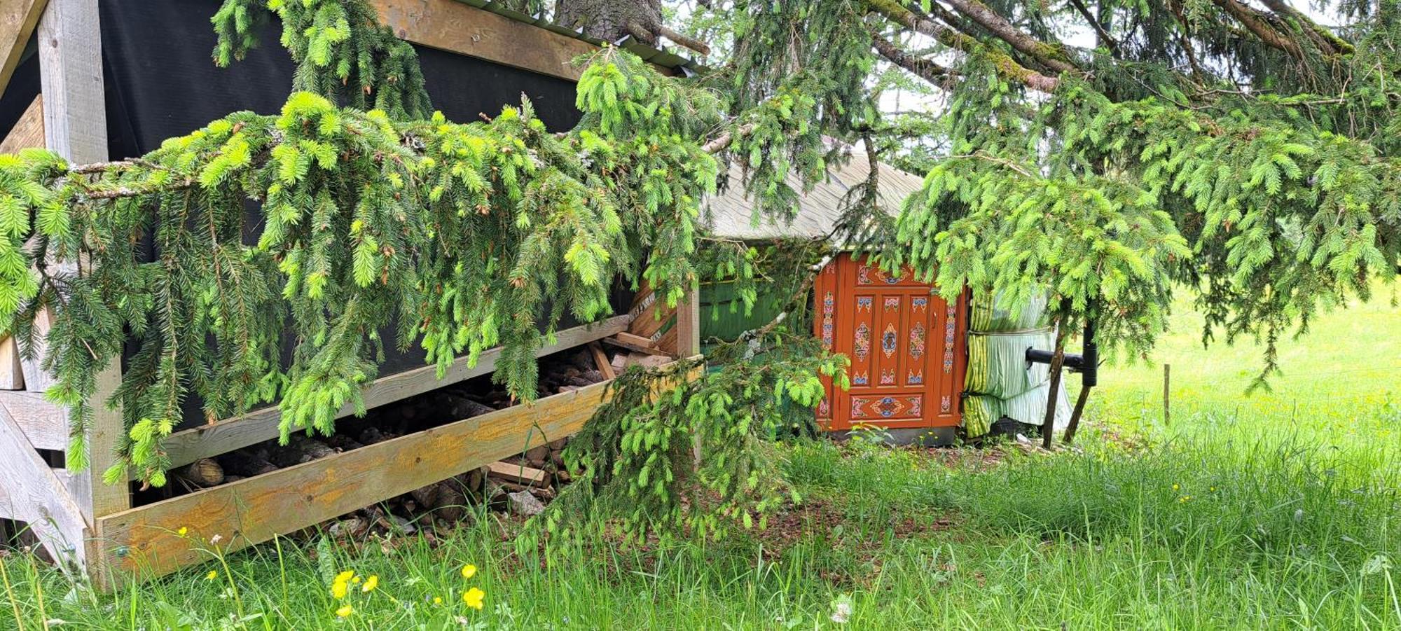 La Petite Echelle Otel Rochejean Dış mekan fotoğraf